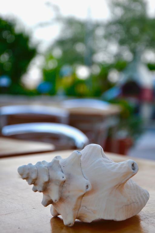 فيستَ B&B Il Giardino Stellato المظهر الخارجي الصورة